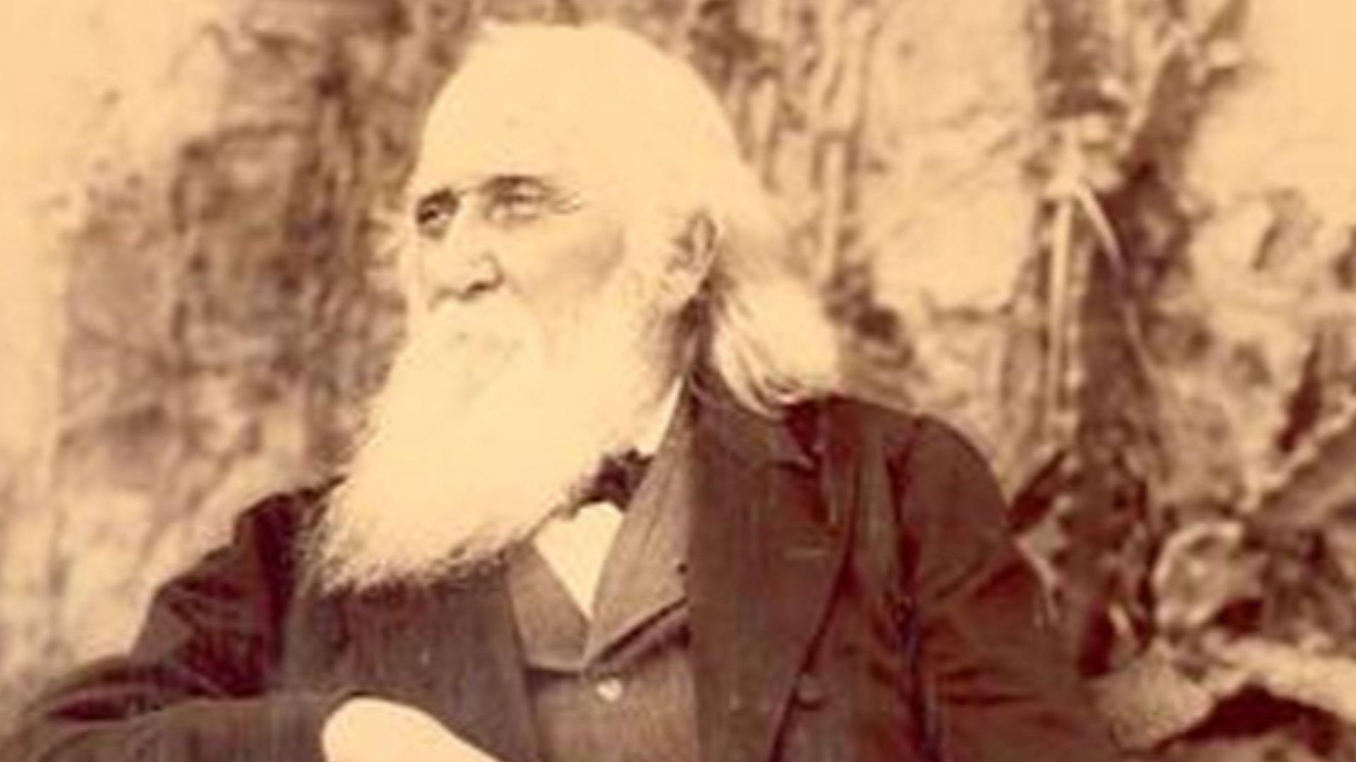 File:Sir John Robertson.jpg