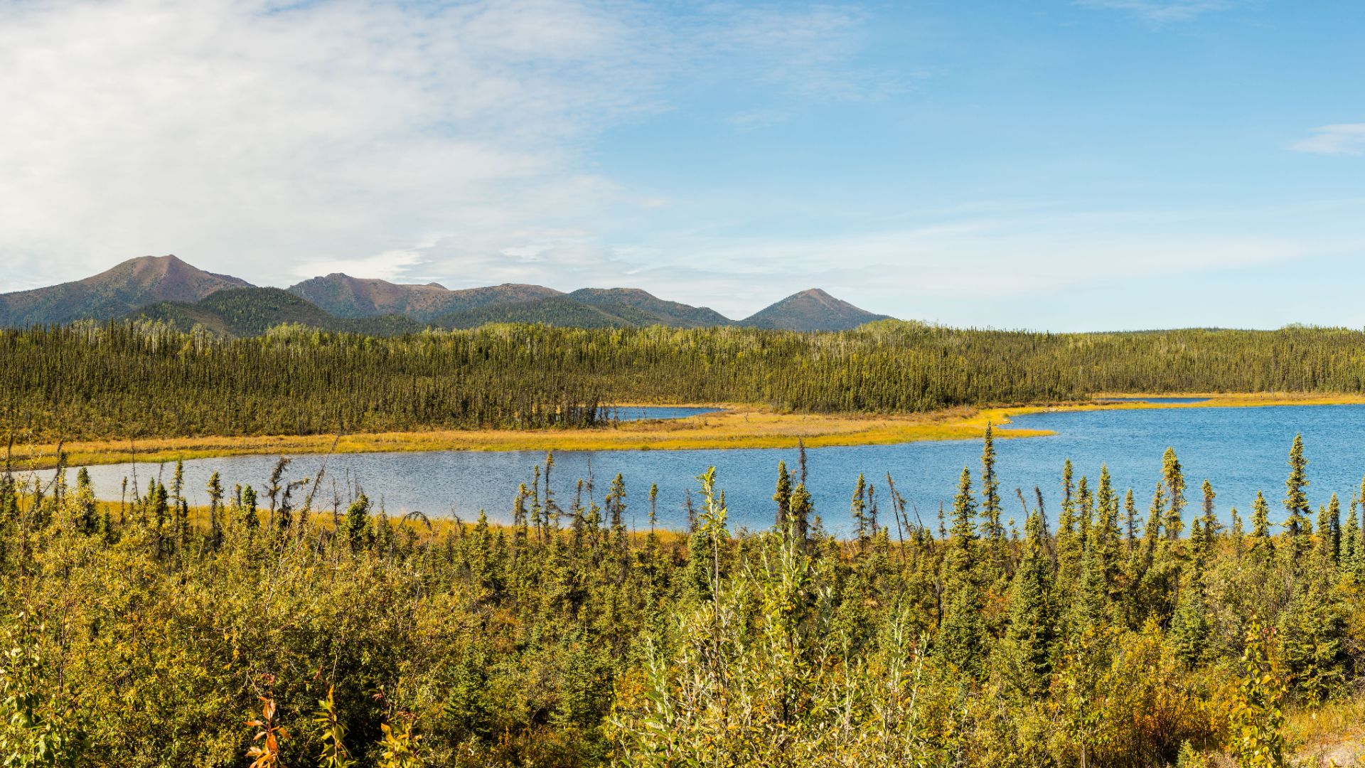 File:Paisaje en Snag Junction, Yukón, Canadá, 2017-08-25, DD 14-17 PAN.jpg