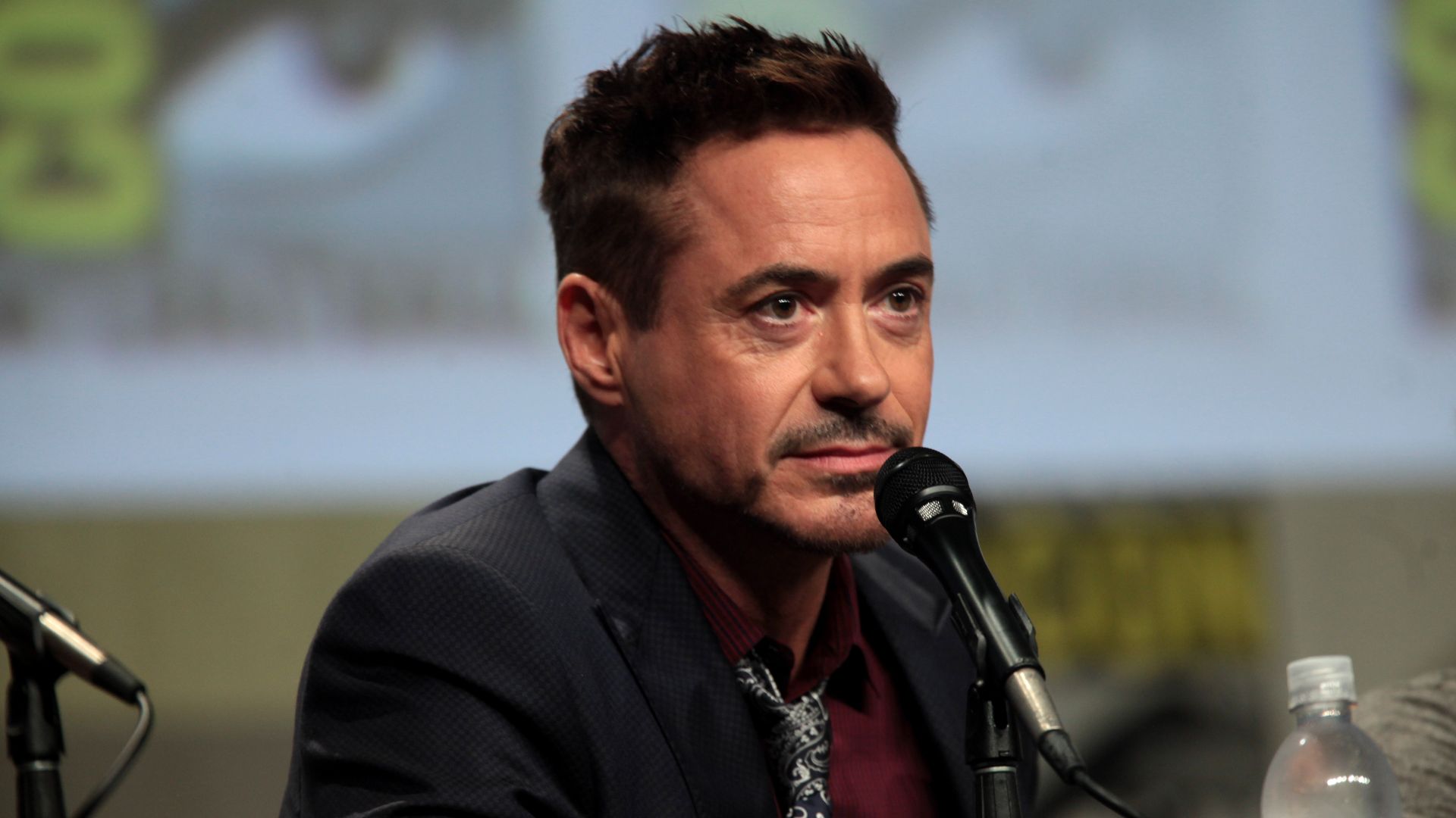 File:Robert Downey Jr 2014 Comic Con.jpg
