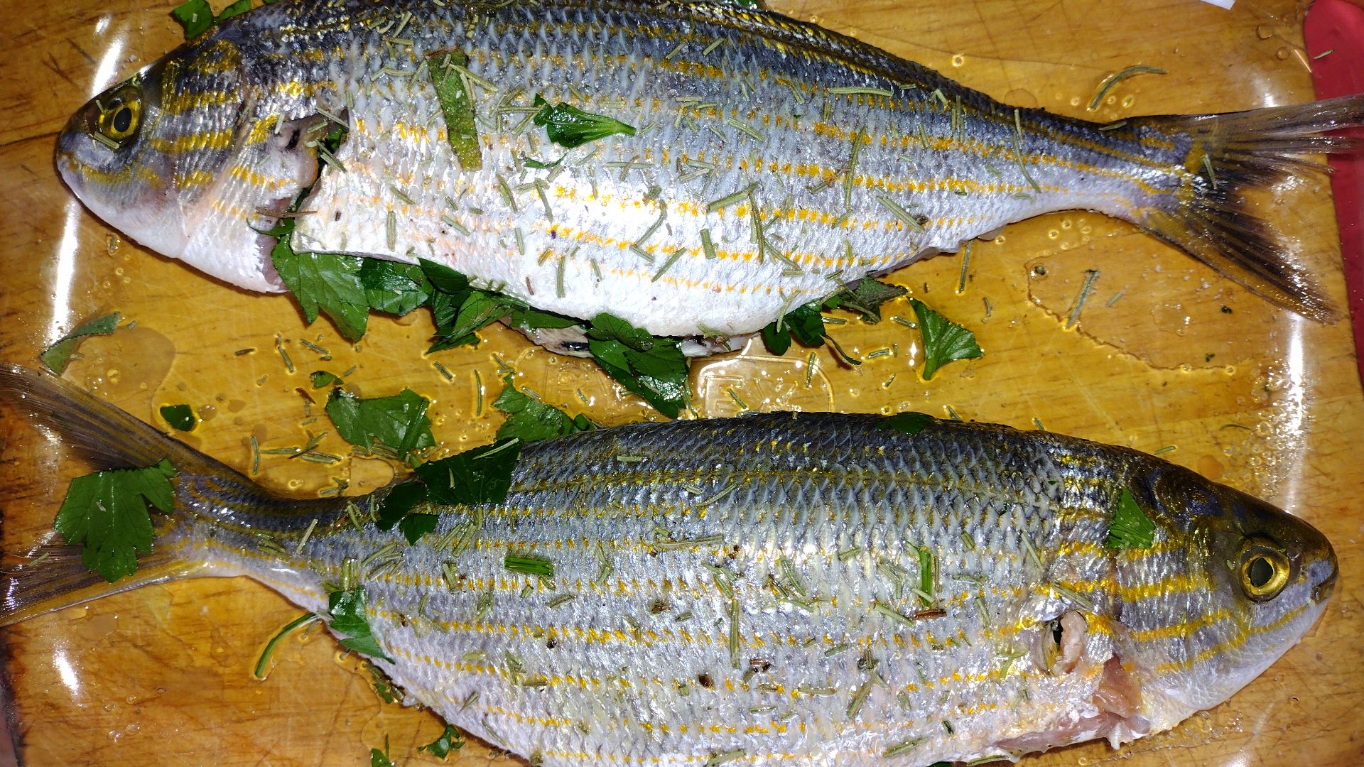 File:Salema porgy as food 002.png
