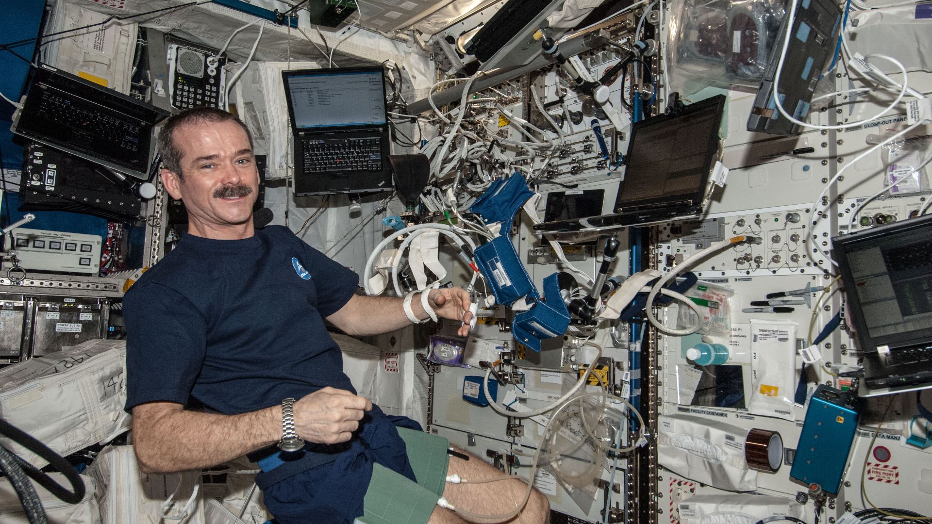 File:ISS-35 Chris Hadfield with Cardiolab (CDL) Leg-Arm Cuff System (LACS).jpg