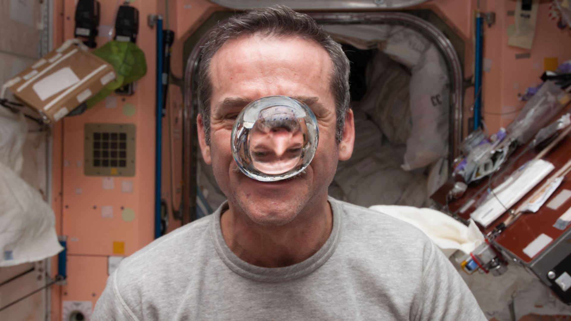 File:Chris Hadfield (29098438192).jpg