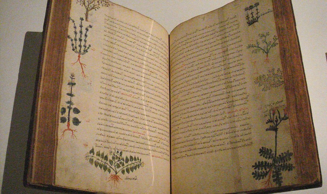 What The Dioscorides Manuscript Reveals
