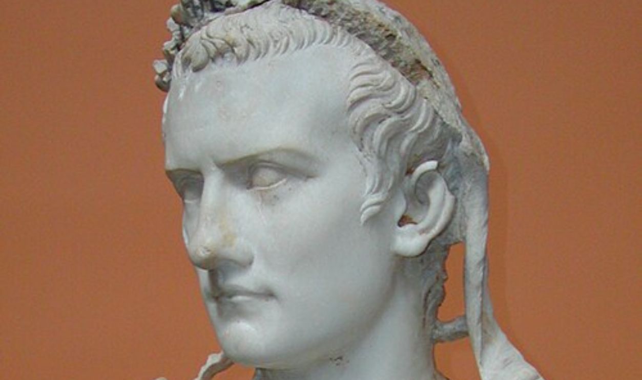 Paranoia And The Search For Relief