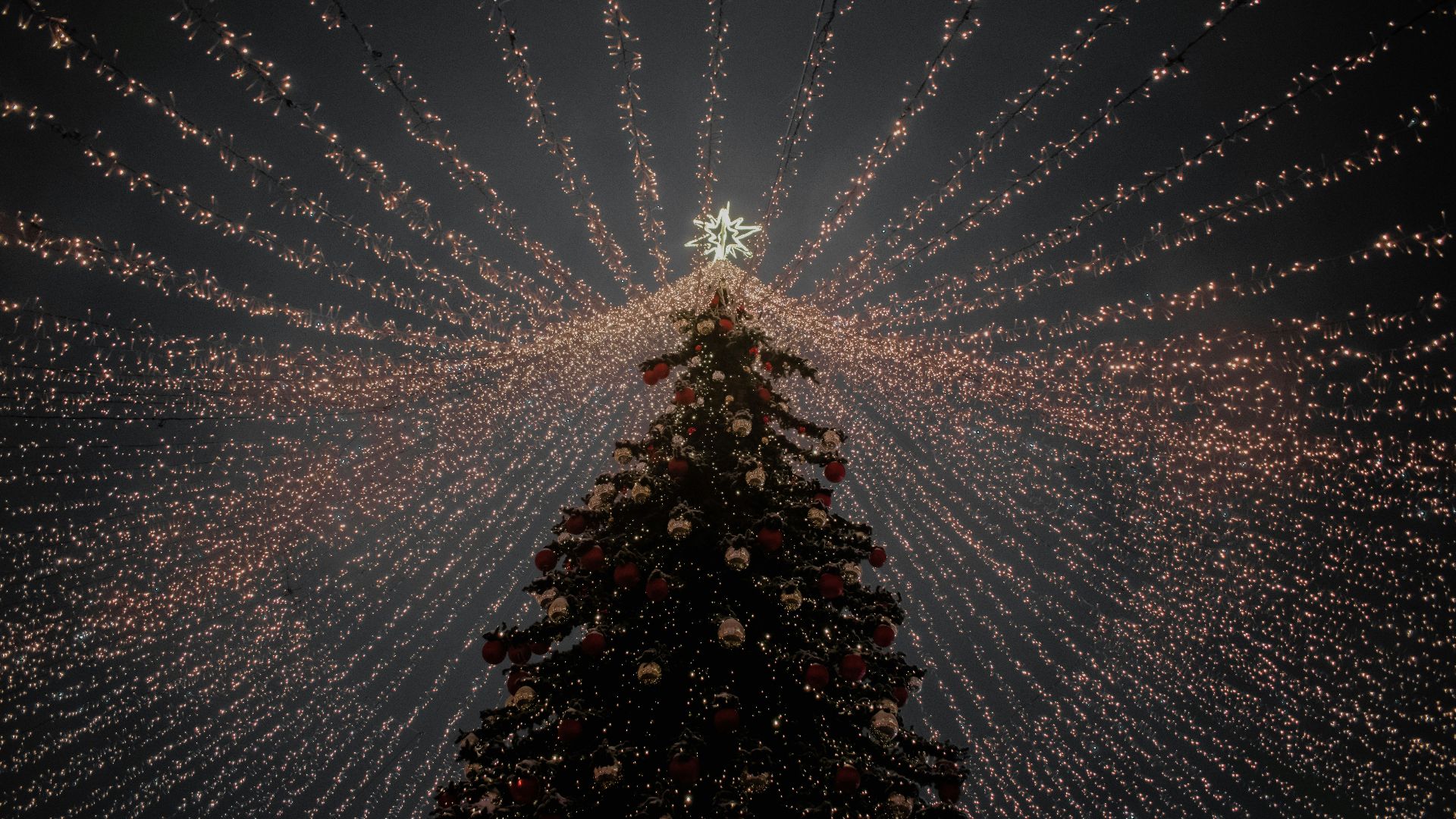 a large christmas tree is lit up with lights