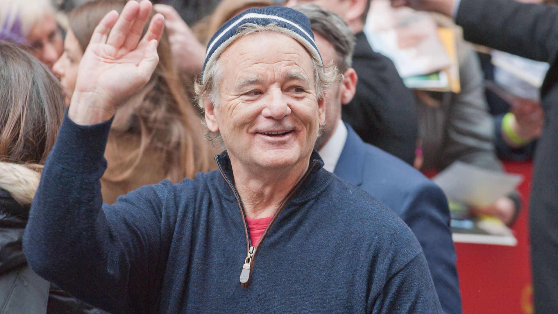 File:Bill Murray 2014 Berlinale.jpg
