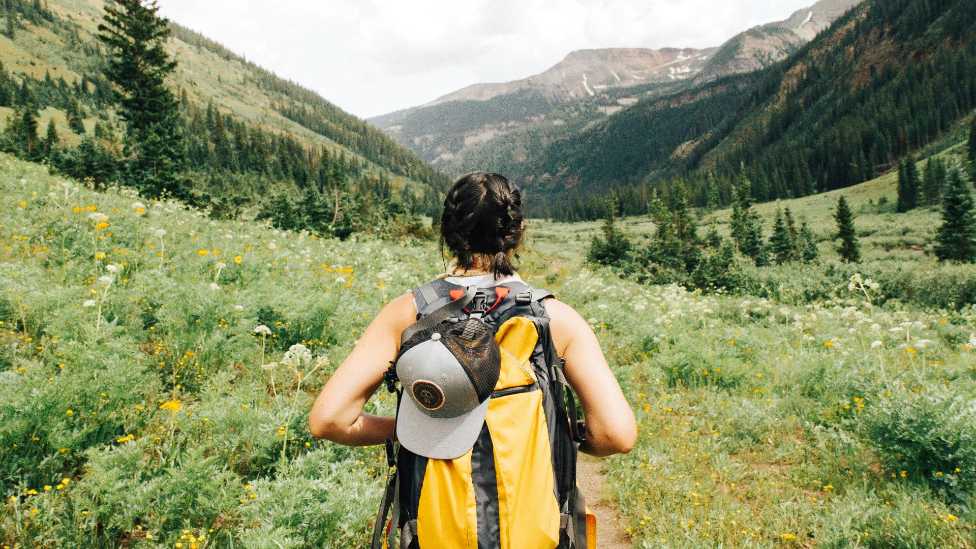 person carrying yellow and black backpack walking between green plants
