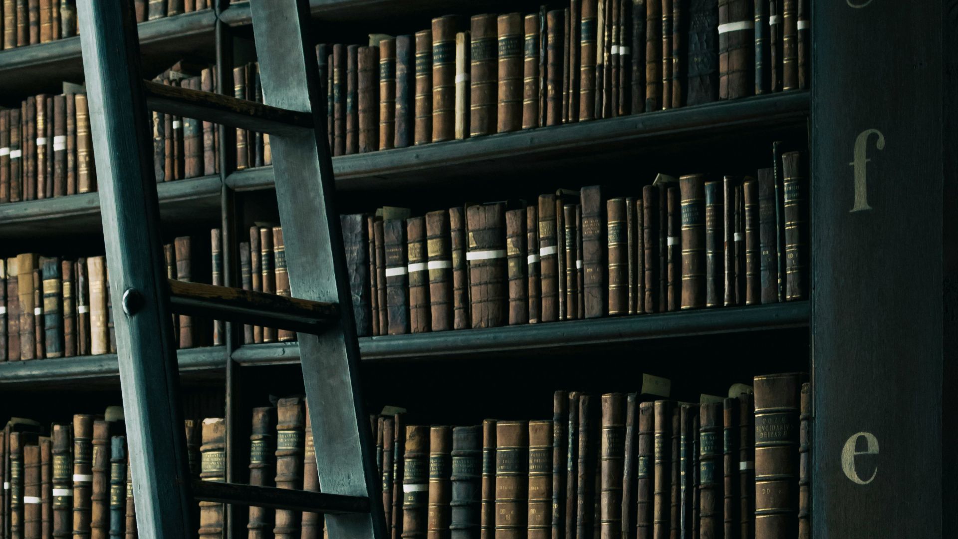 library shelf near black wooden ladder