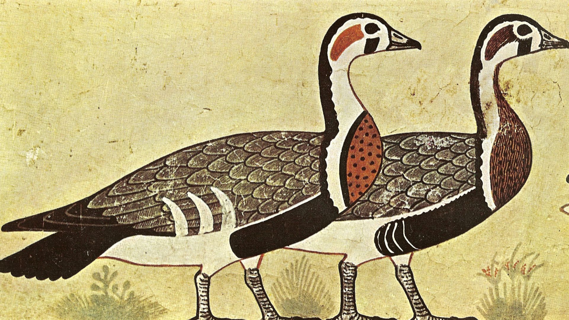File:Meidoum - Tomb of Itet - geese 300dpi.jpg