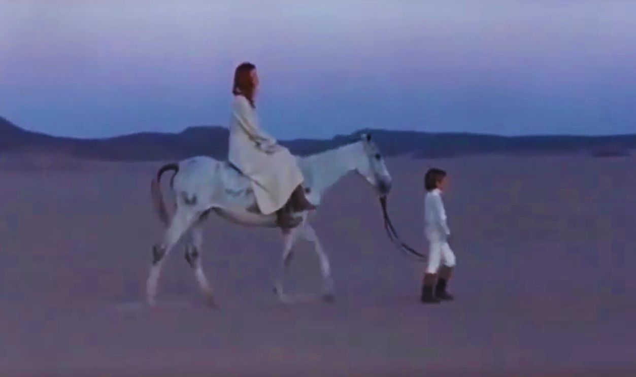 Nico - All That Is My Own