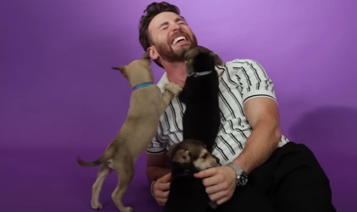 42. The Dude Loves Dogs