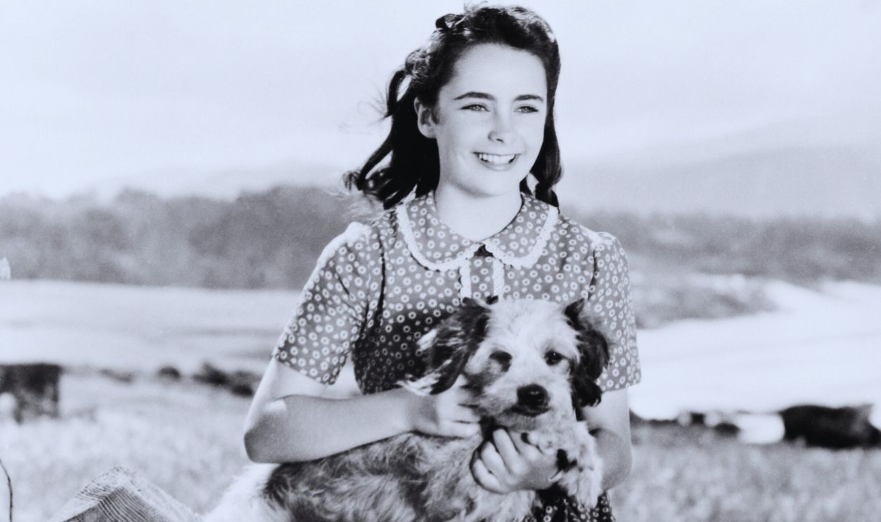 Gettyimages - 180353101, National Velvet British-born American actress Elizabeth Taylor (1932 - 2011) as Velvet Brown, holding Jacob the dog, in a promotional portrait for 'National Velvet' directed by Clarence Brown, 1944.
