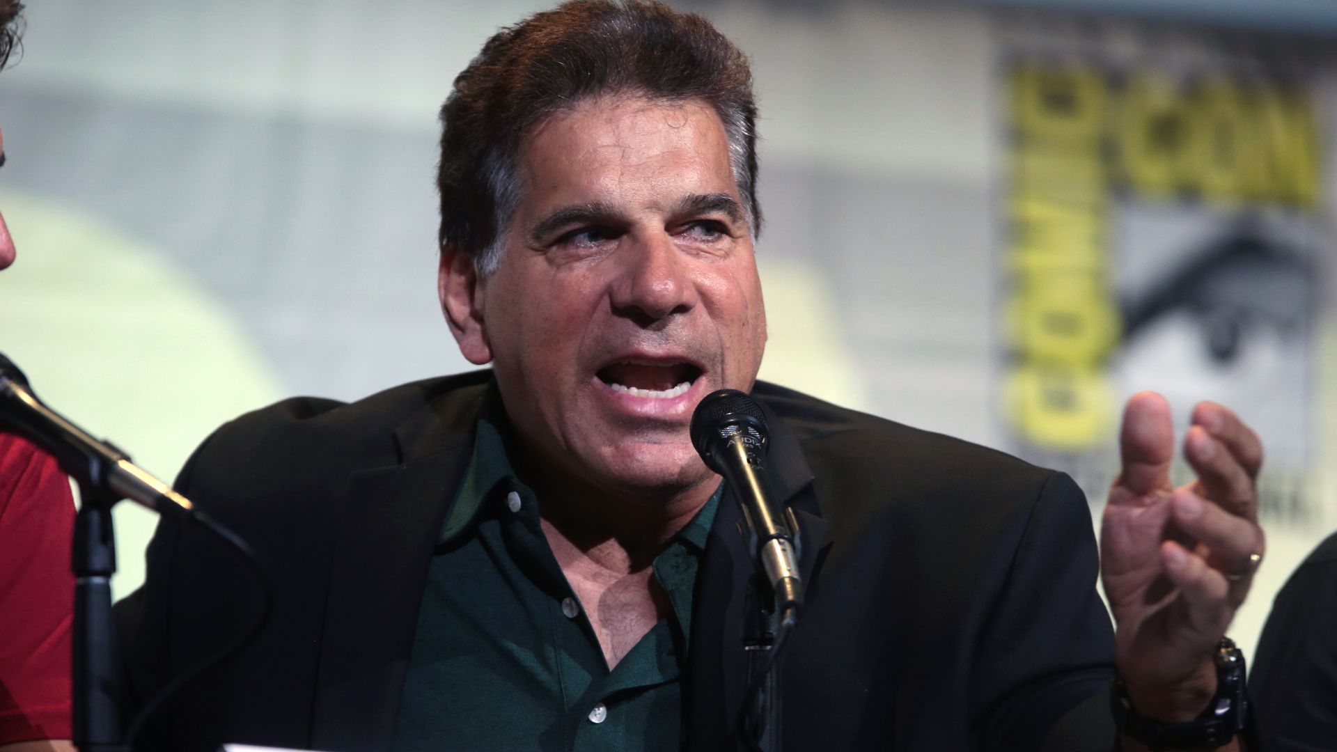 File:Lou Ferrigno (28475928151).jpg