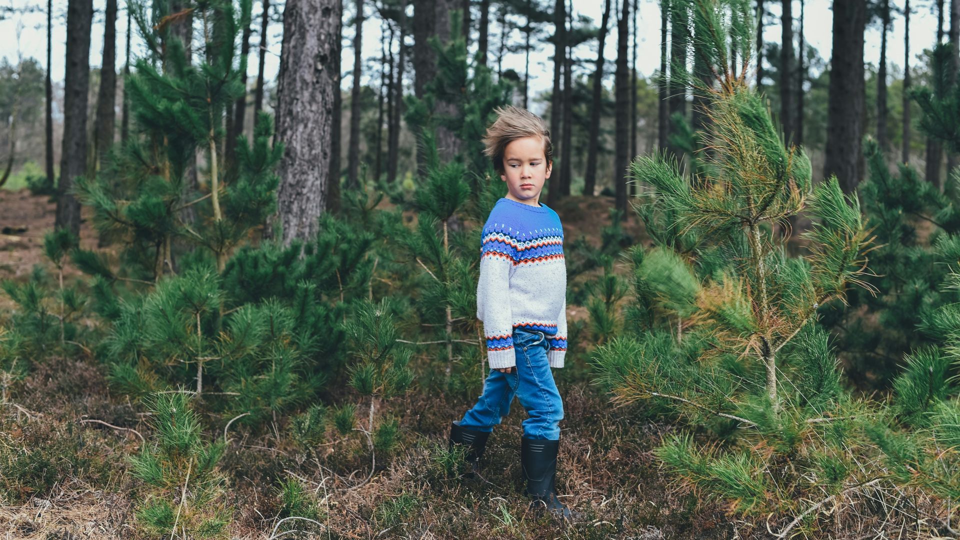 kid near tree lot during daytime