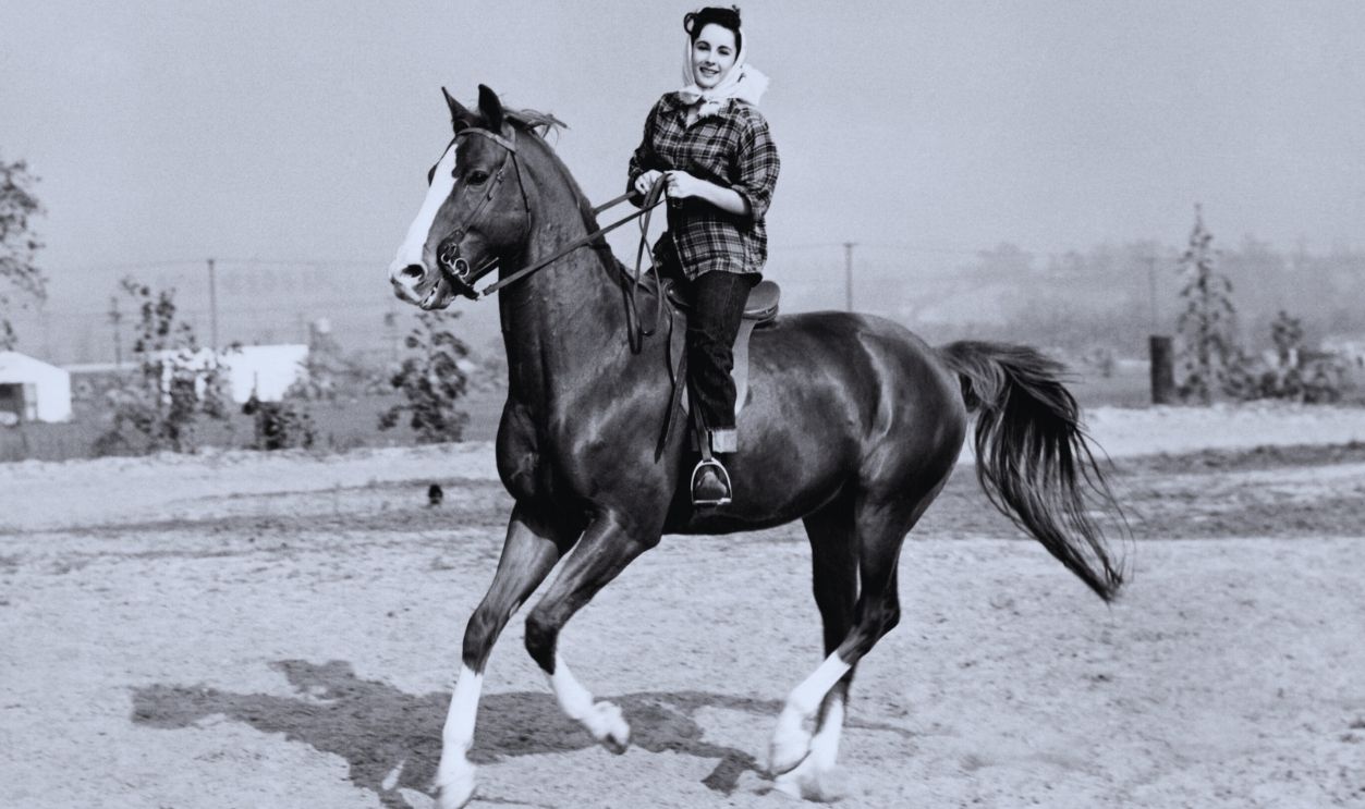Gettyimages - 1441215533, Elizabeth Taylor rides King Charles British American Actress Elizabeth Taylor (1932-2011) at 14 years old rides her horse King Charles (1937-1956). She was gifted the stallion on her 13th Birthday by MGM studios after they both stared together in 'National Velvet' as 'Velvet Brown' and 'The Pie', respectively, 1946, United States.