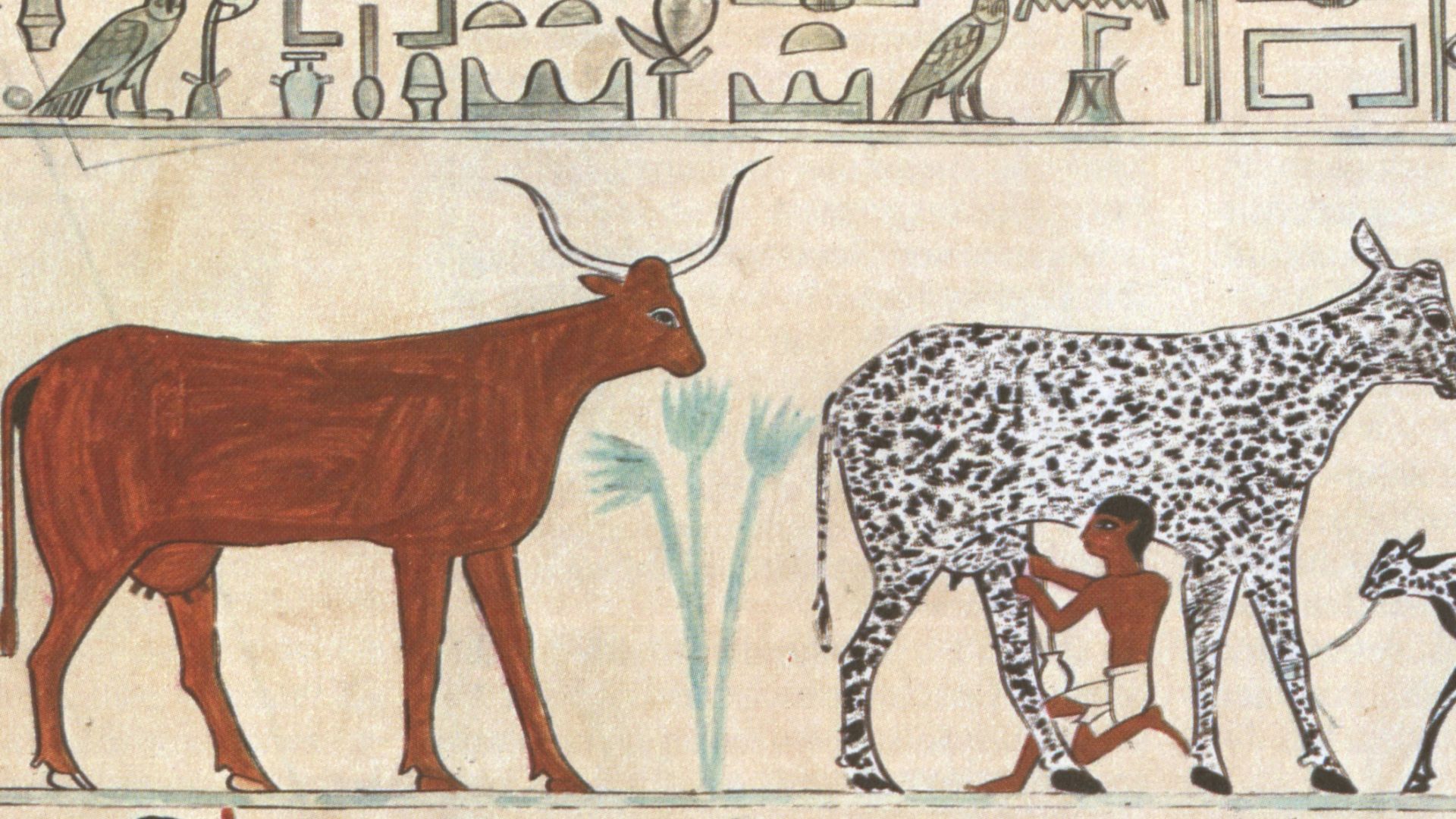 File:Egyptian Domesticated Animals.jpg