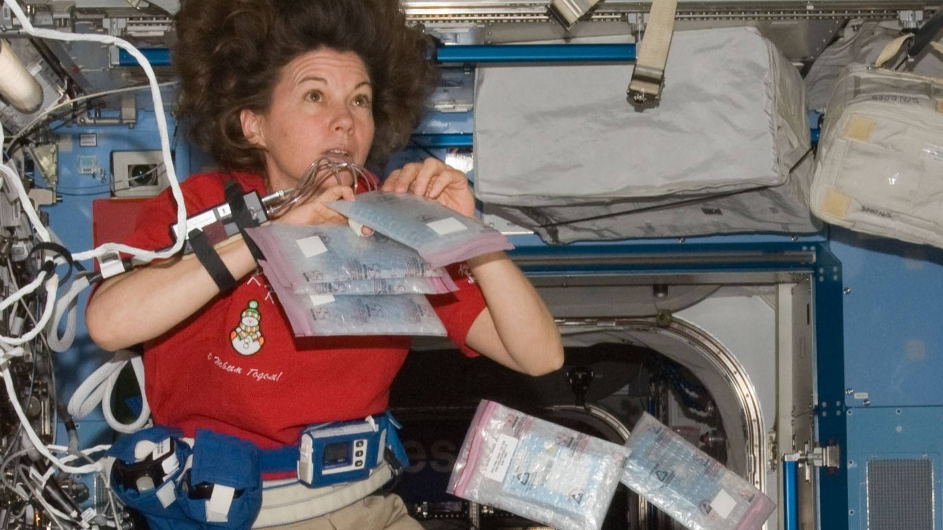 File:Catherine (Cady) Coleman, Expedition 26 flight engineer.jpg