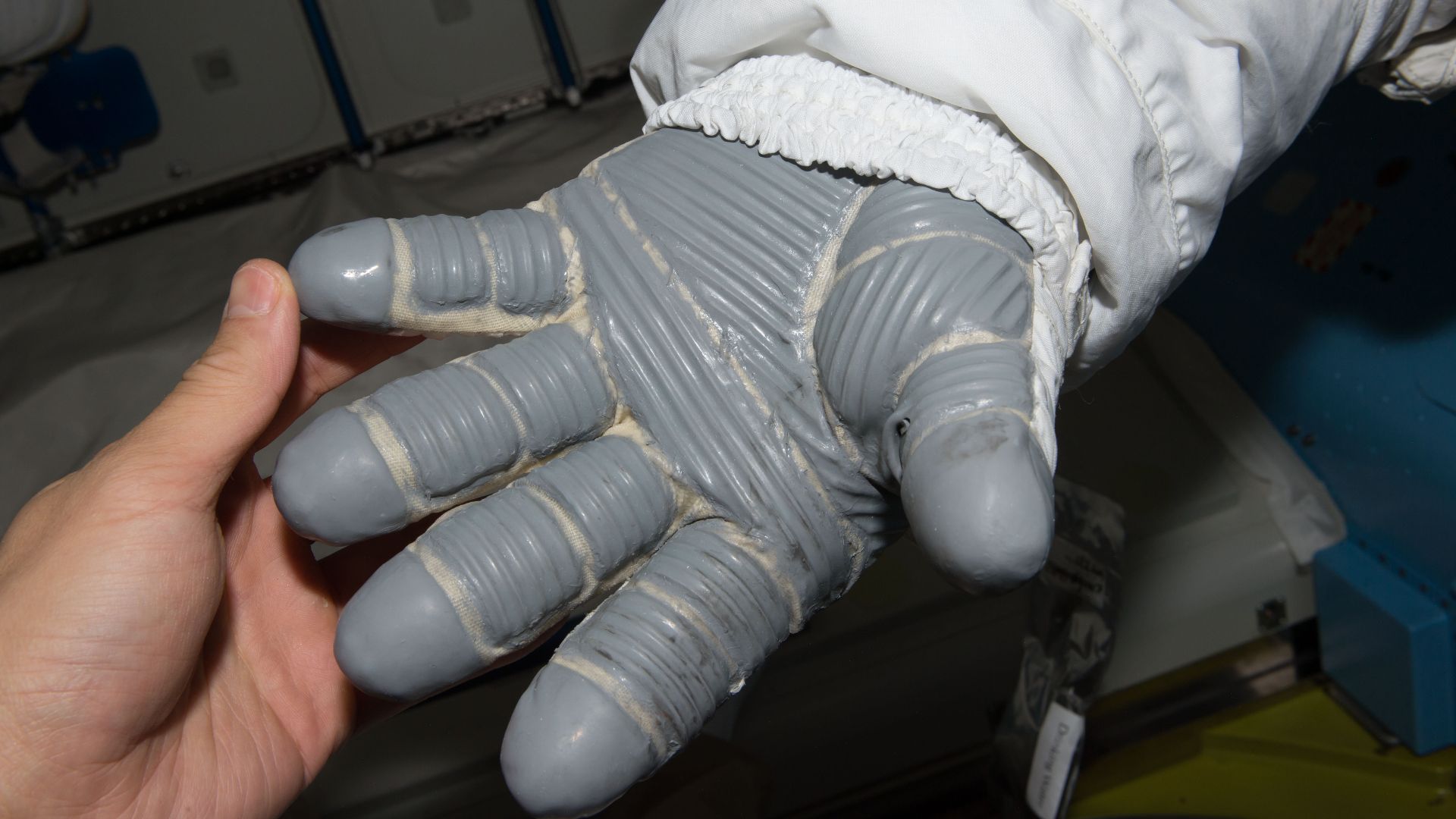 File:ISS-48 EVA (c) space gloves checking.jpg