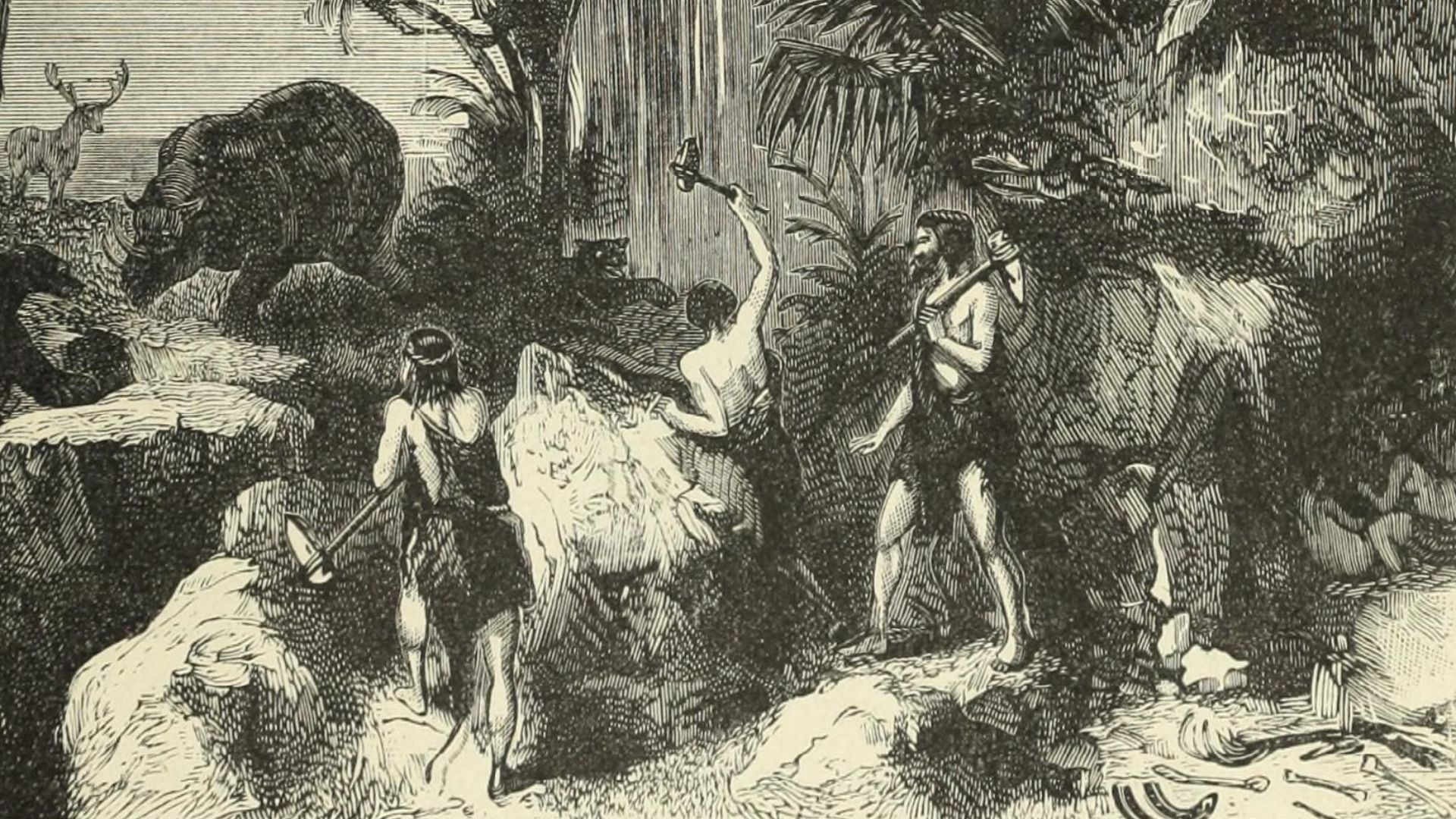 File:Prehistoric man.jpg