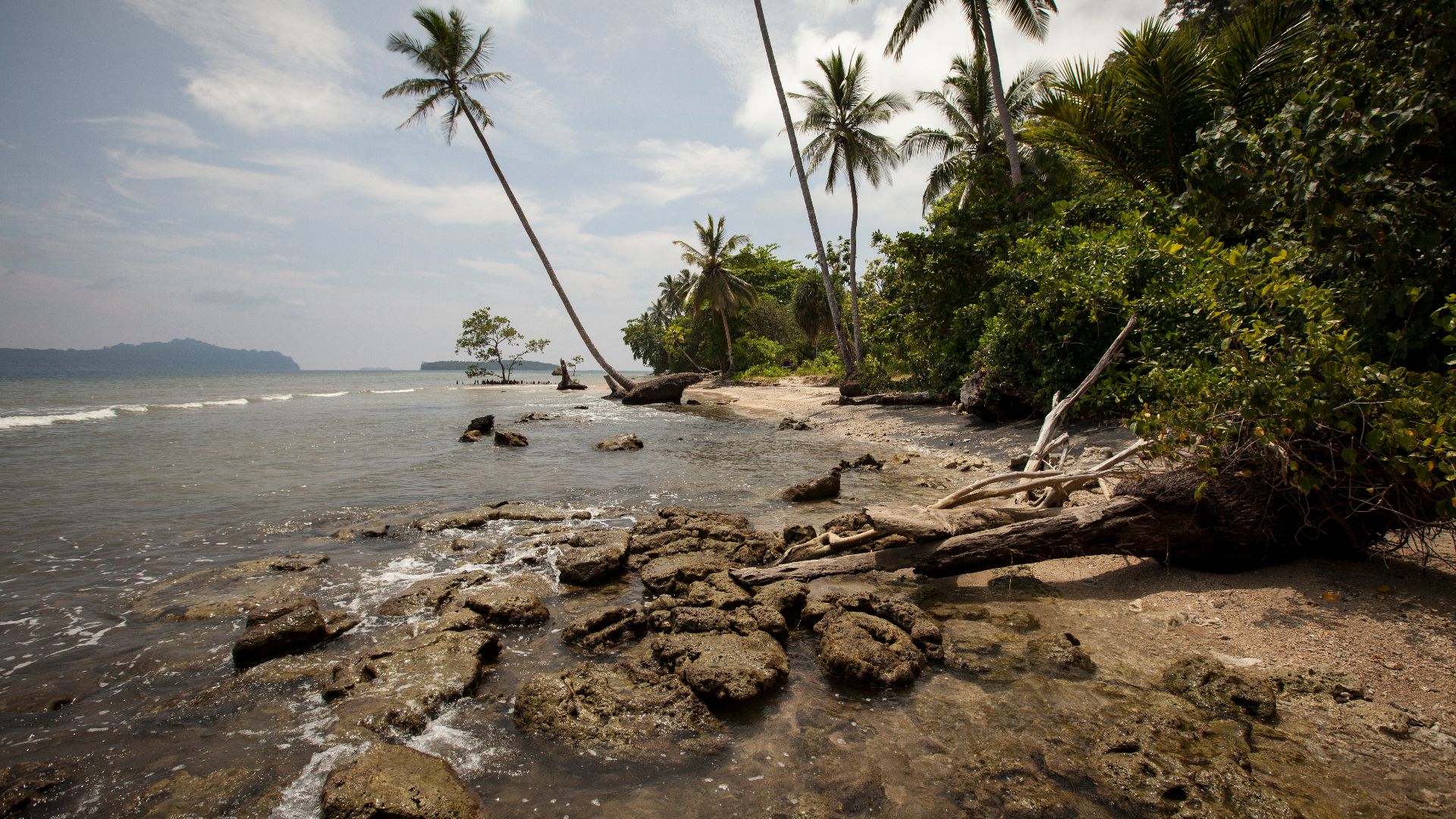 File:Solomon Shoreline.jpg