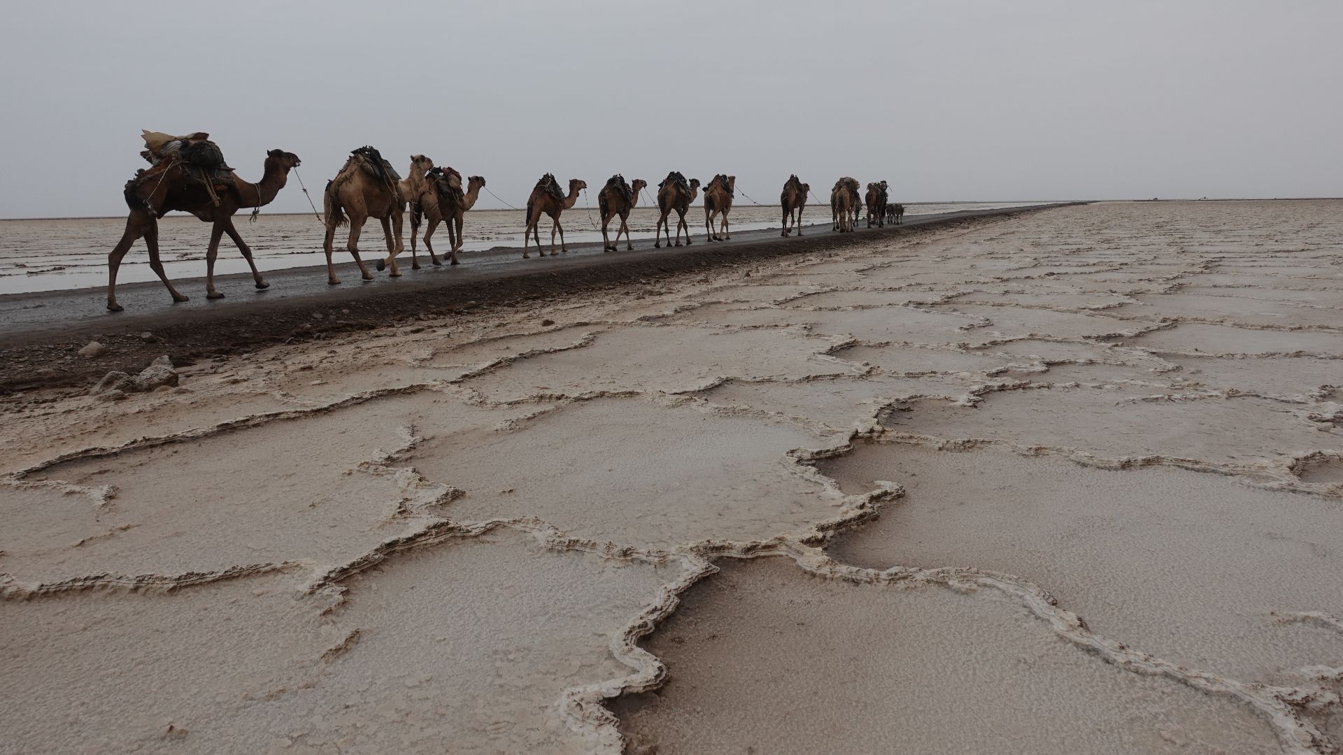 File:Danakil Salt Plain.jpg