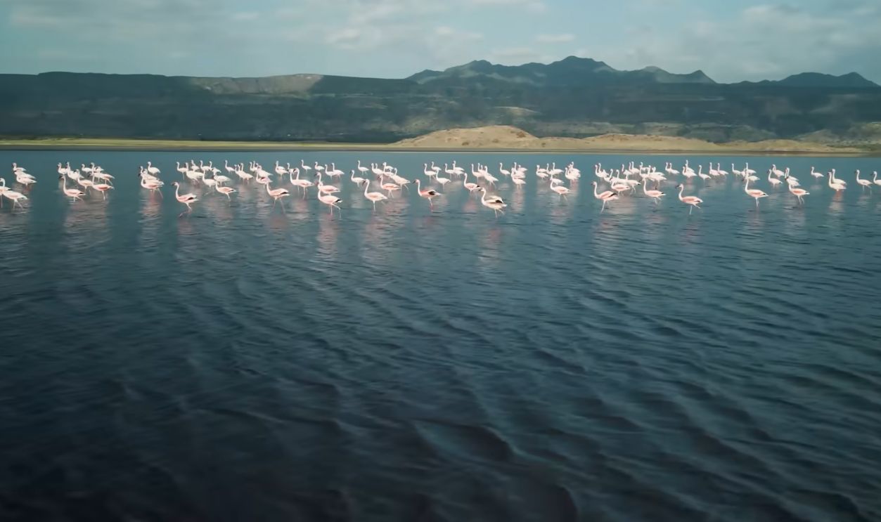 Lake Natron