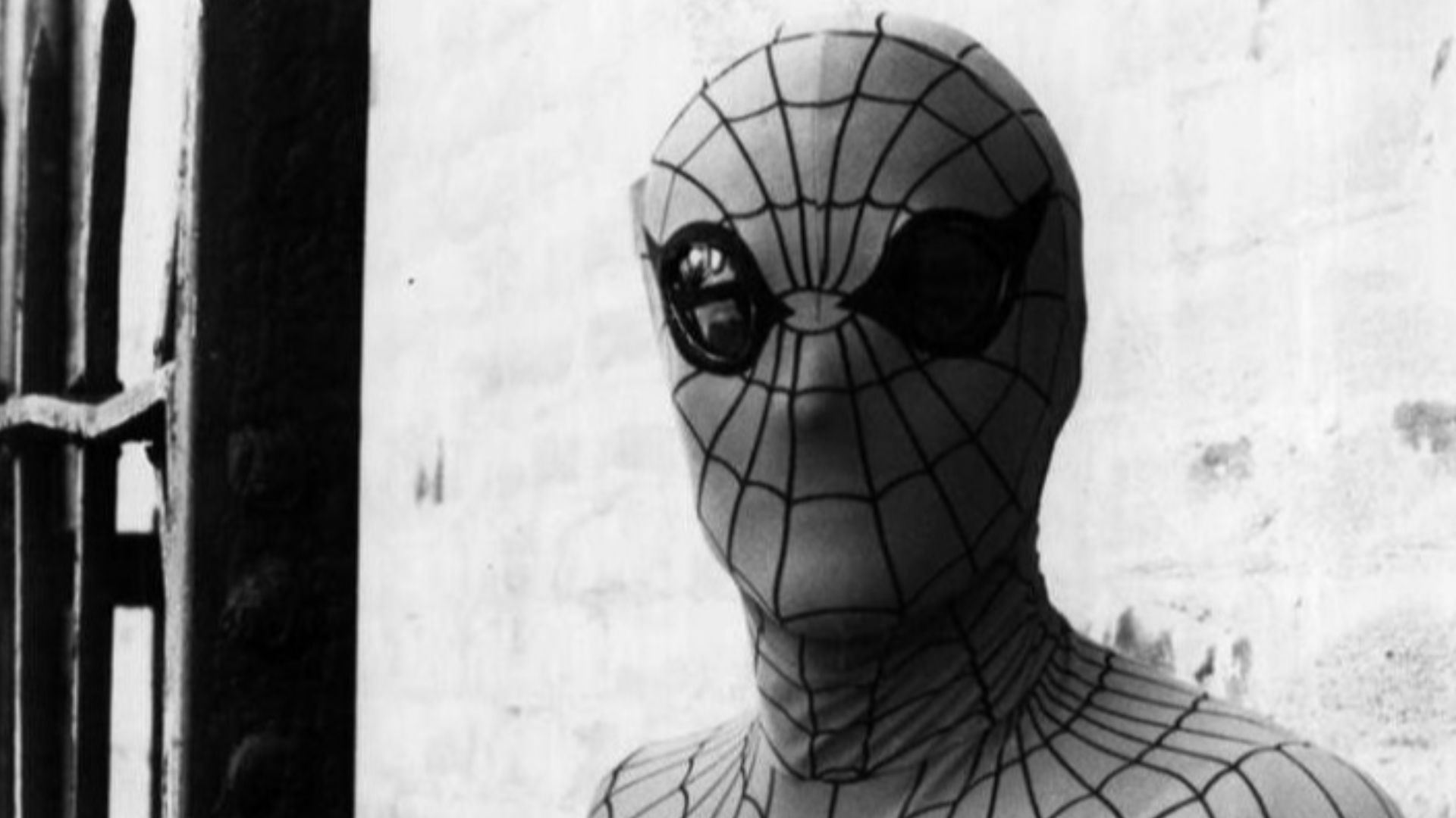 File:Nicholas Hammond Amazing Spider-Man 1977.JPG