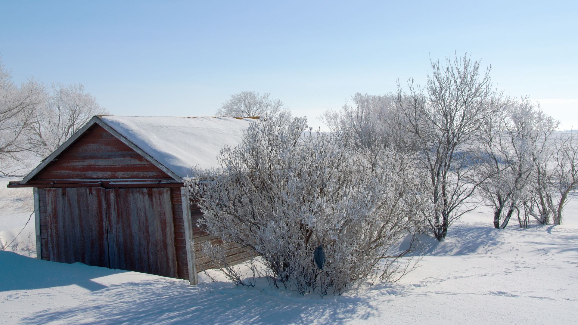File:Saskatchewan winter (3285543549).jpg