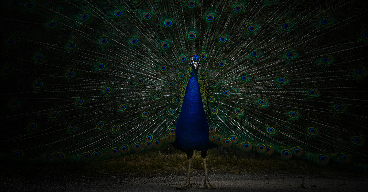 What can be swallowed, but can also swallow you?