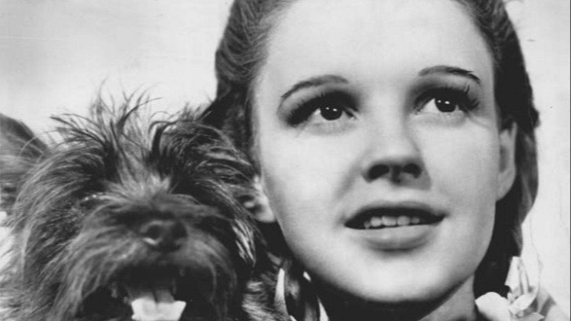 File:The Wizard of Oz Judy Garland Terry 1939.jpg