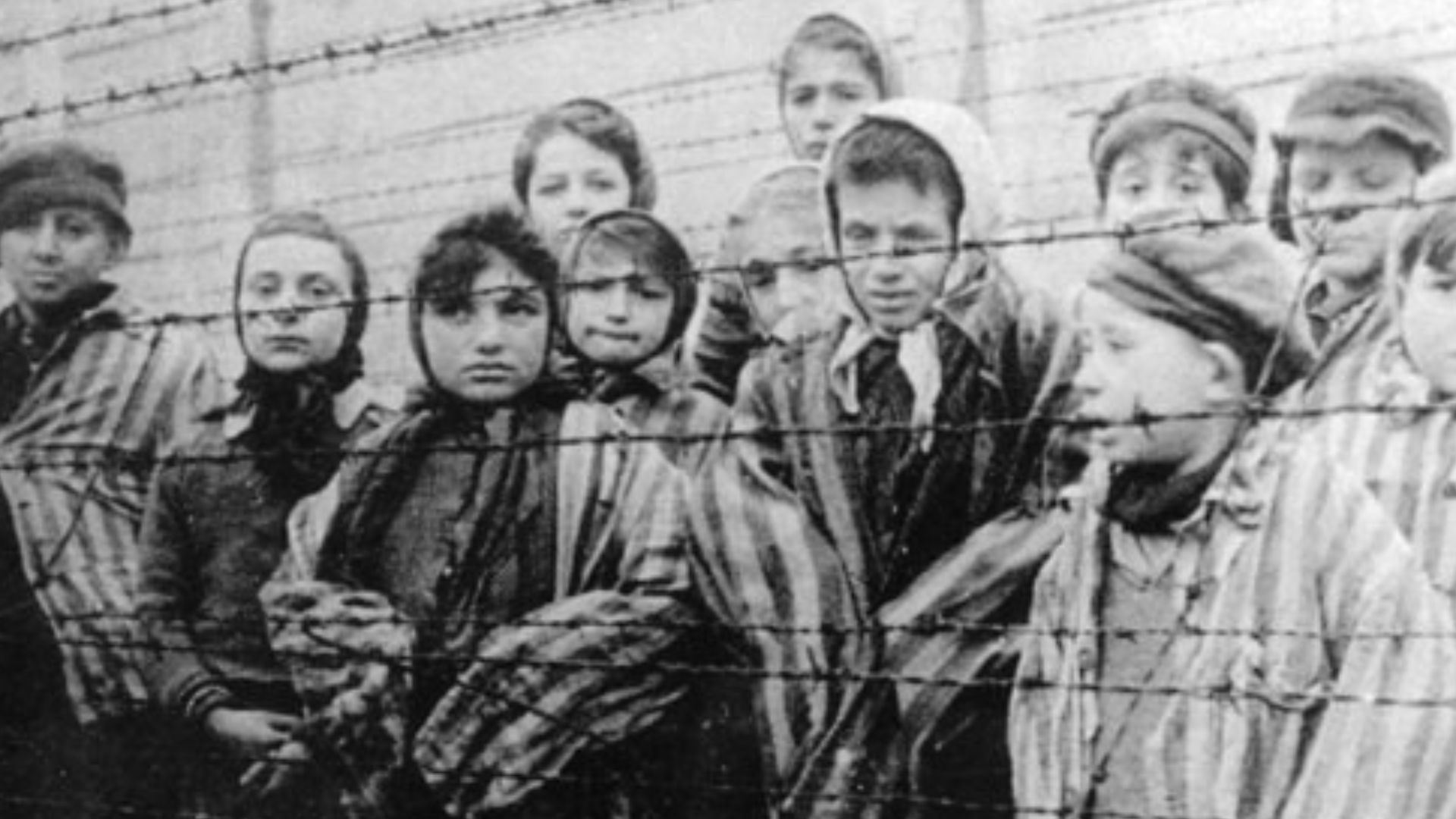 File:Children in the Holocaust concentration camp liberated by Red Army.jpg