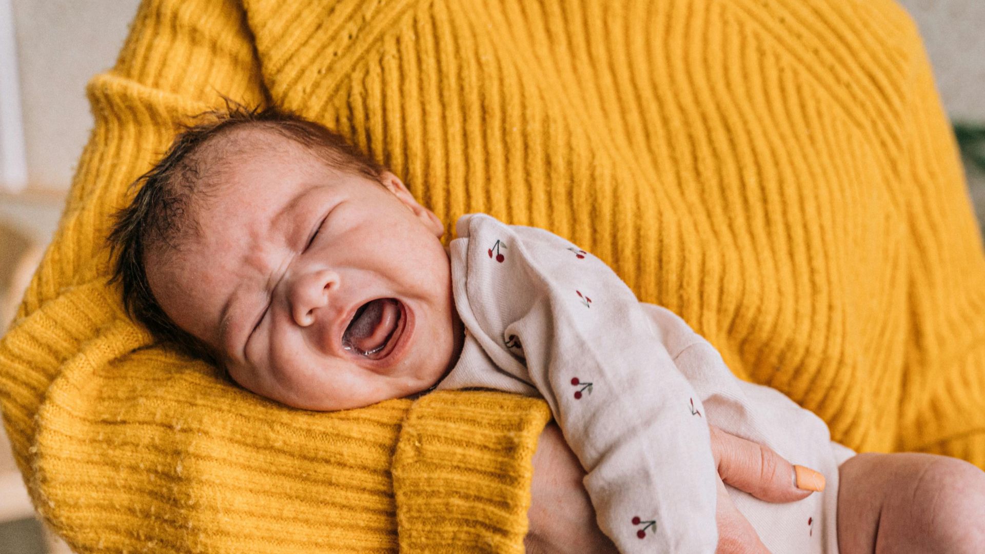 Antoni Shkraba Studio