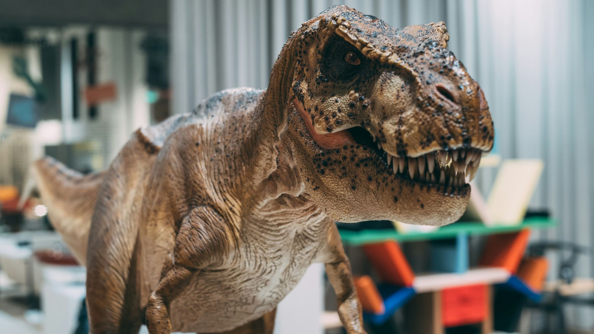 a toy t - shirt that looks like a dinosaur with its mouth open