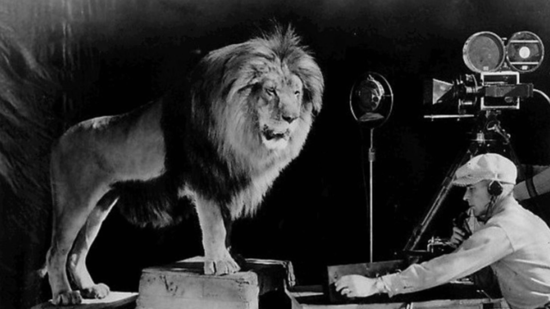 File:Leo the MGM lion 1928.jpg