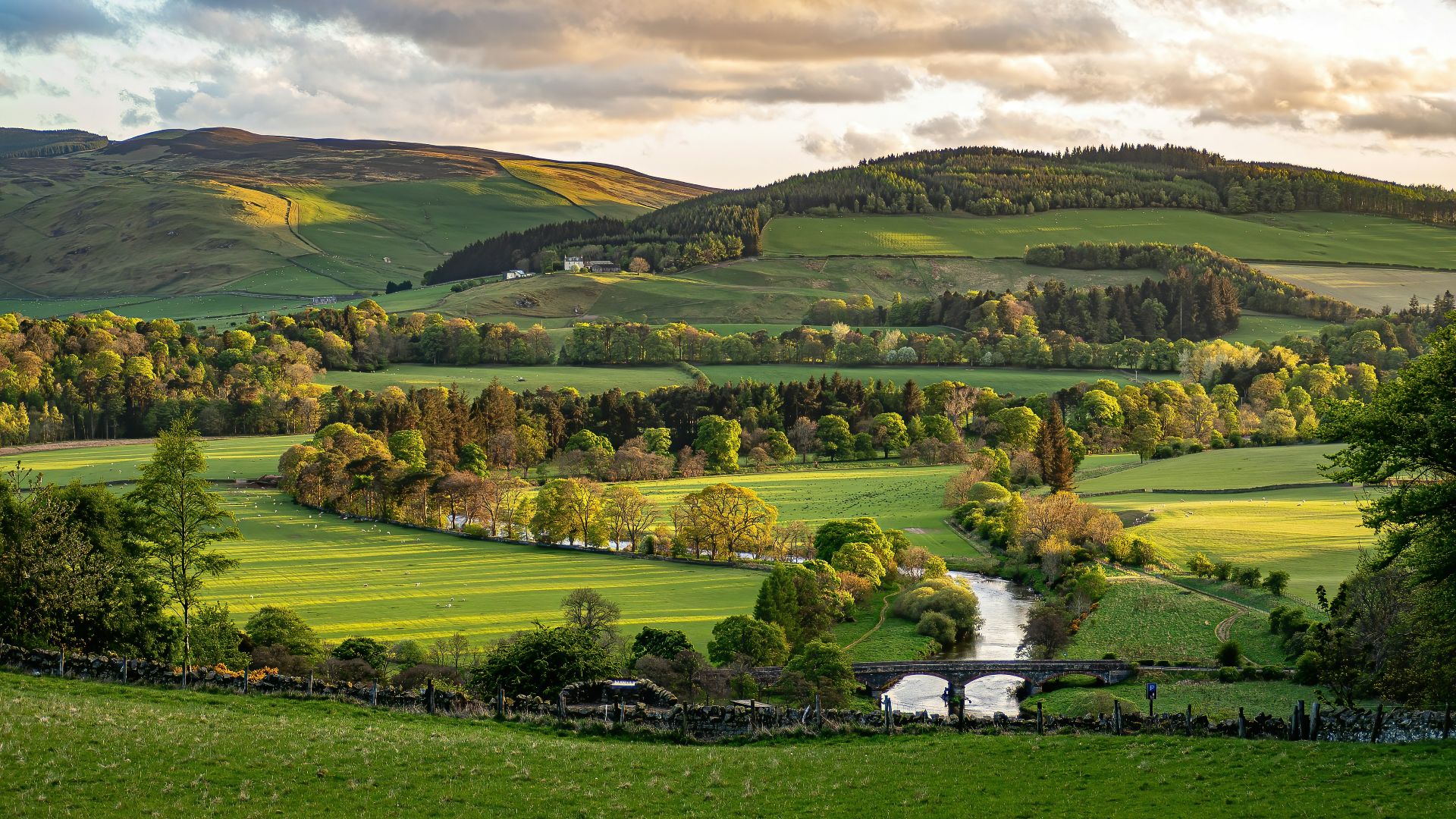 green grass field with trees and houses