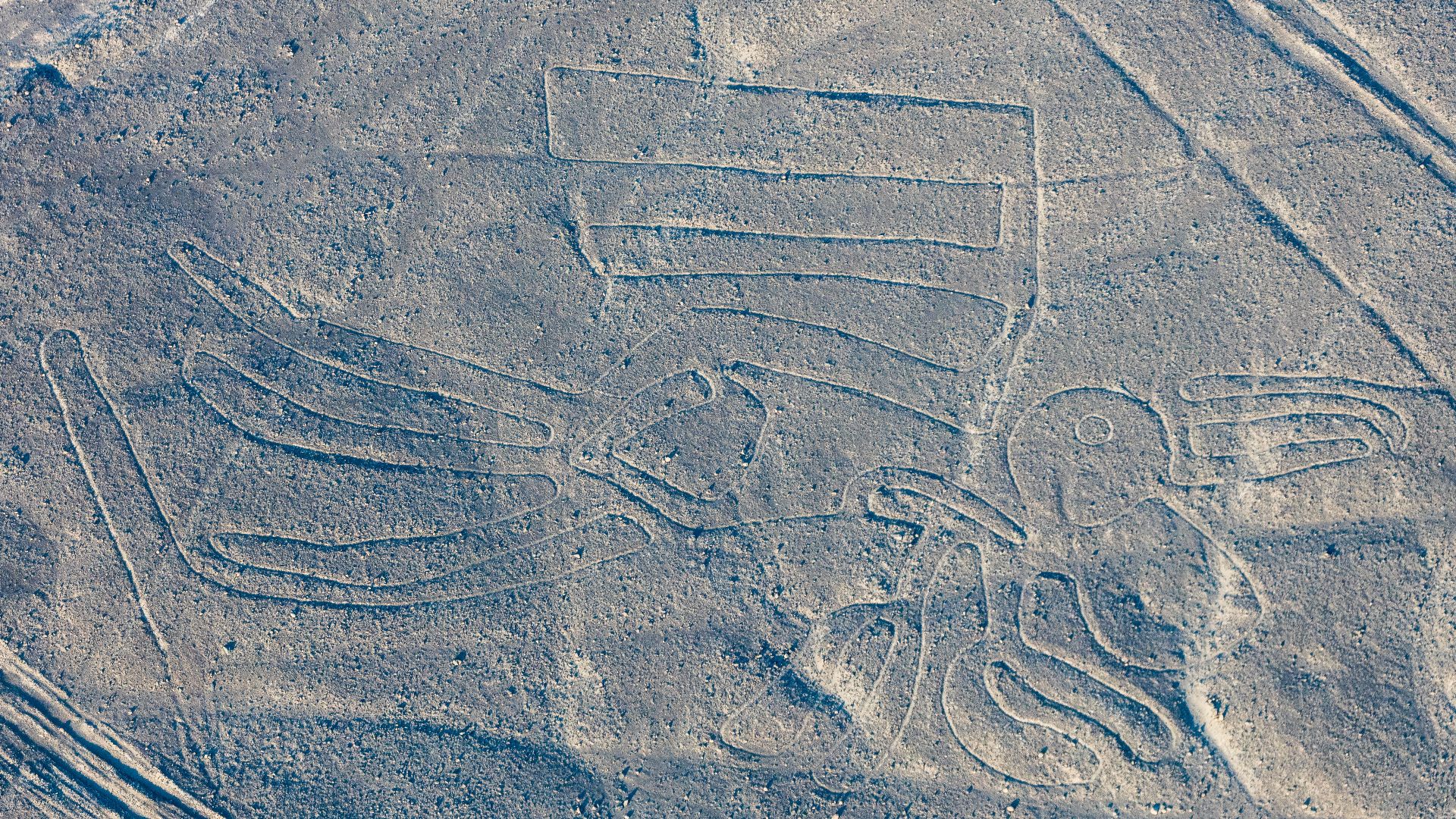 File:Líneas de Nazca, Nazca, Perú, 2015-07-29, DD 58.JPG