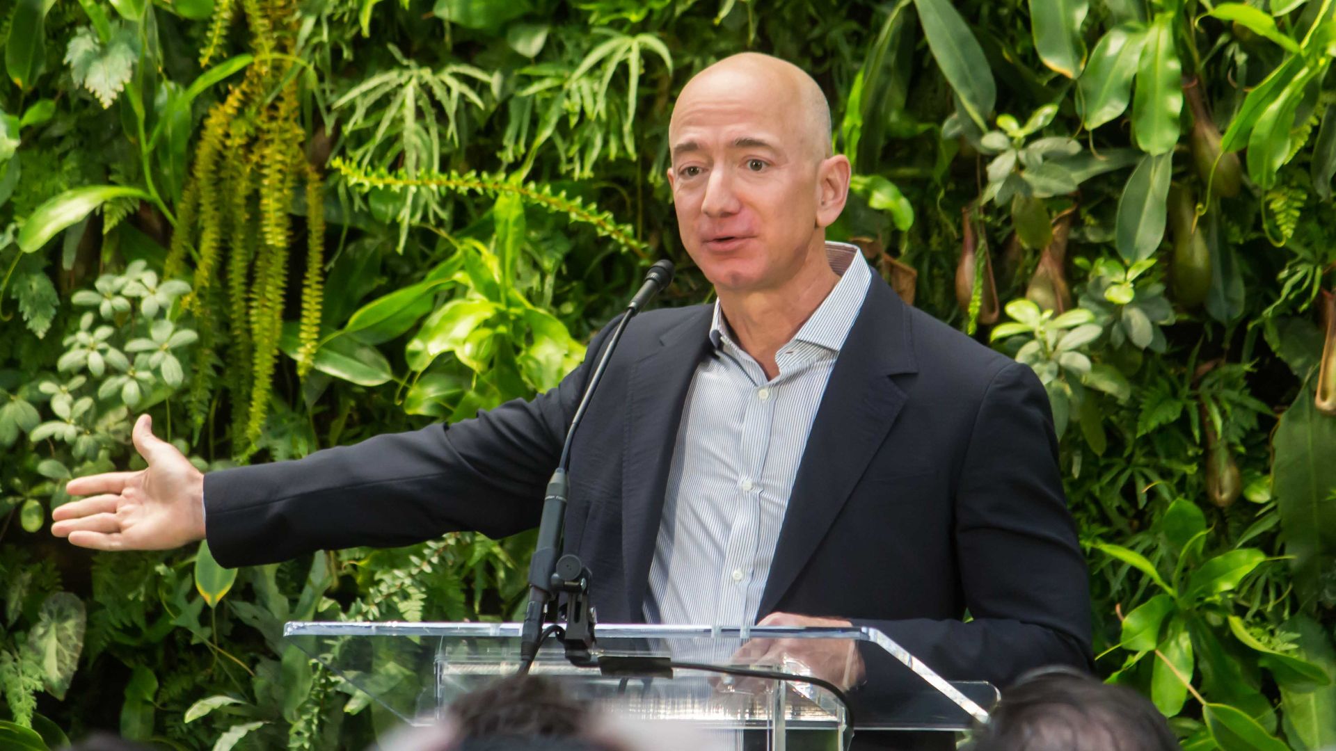 File:Jeff Bezos at Amazon Spheres Grand Opening in Seattle - 2018 (39074799225) (cropped2).jpg
