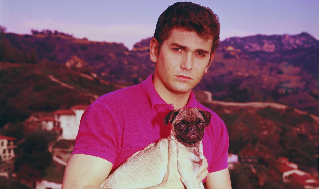 Gettyimages - 1226082642, Michael Landon And Pet American actor Michael Landon (1936 - 1991) with a pug, circa 1960.