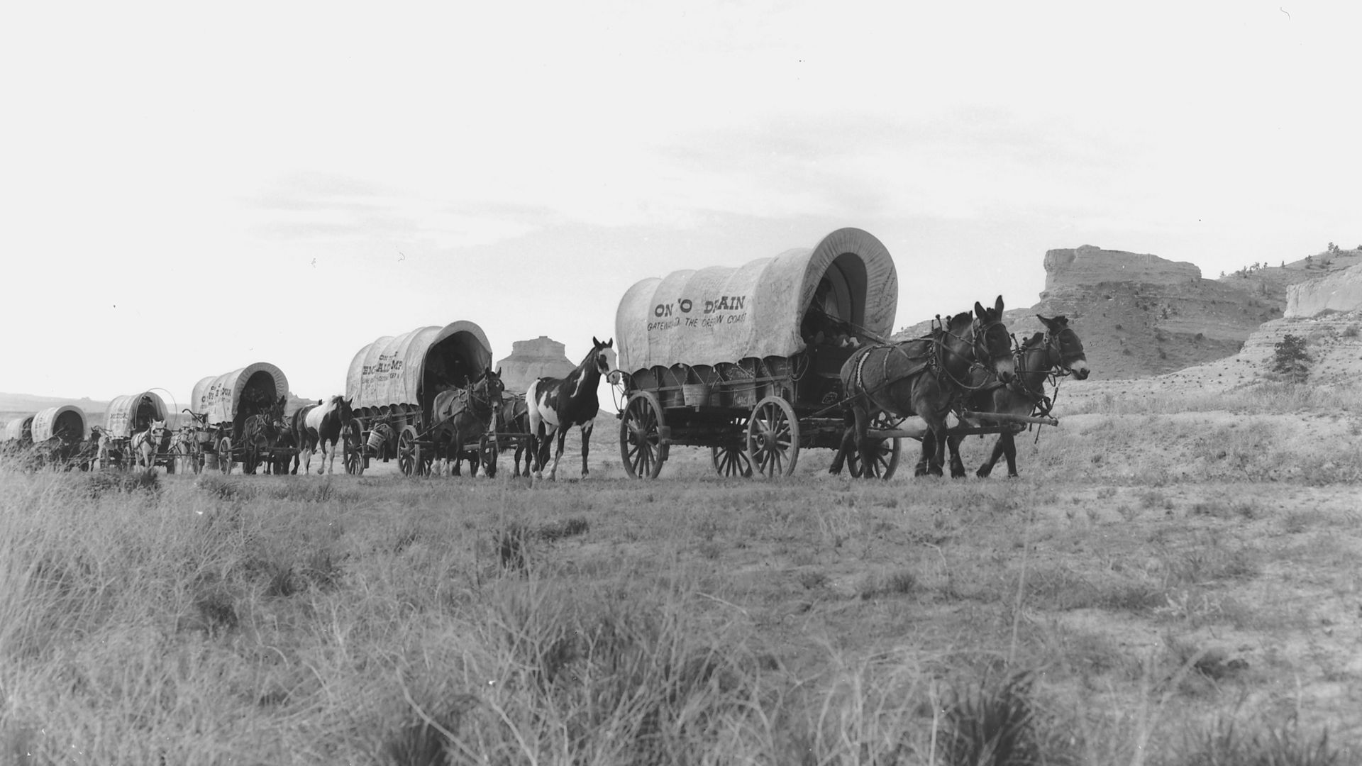 File:Oregon Trail reenactment - NARA - 286054.jpg