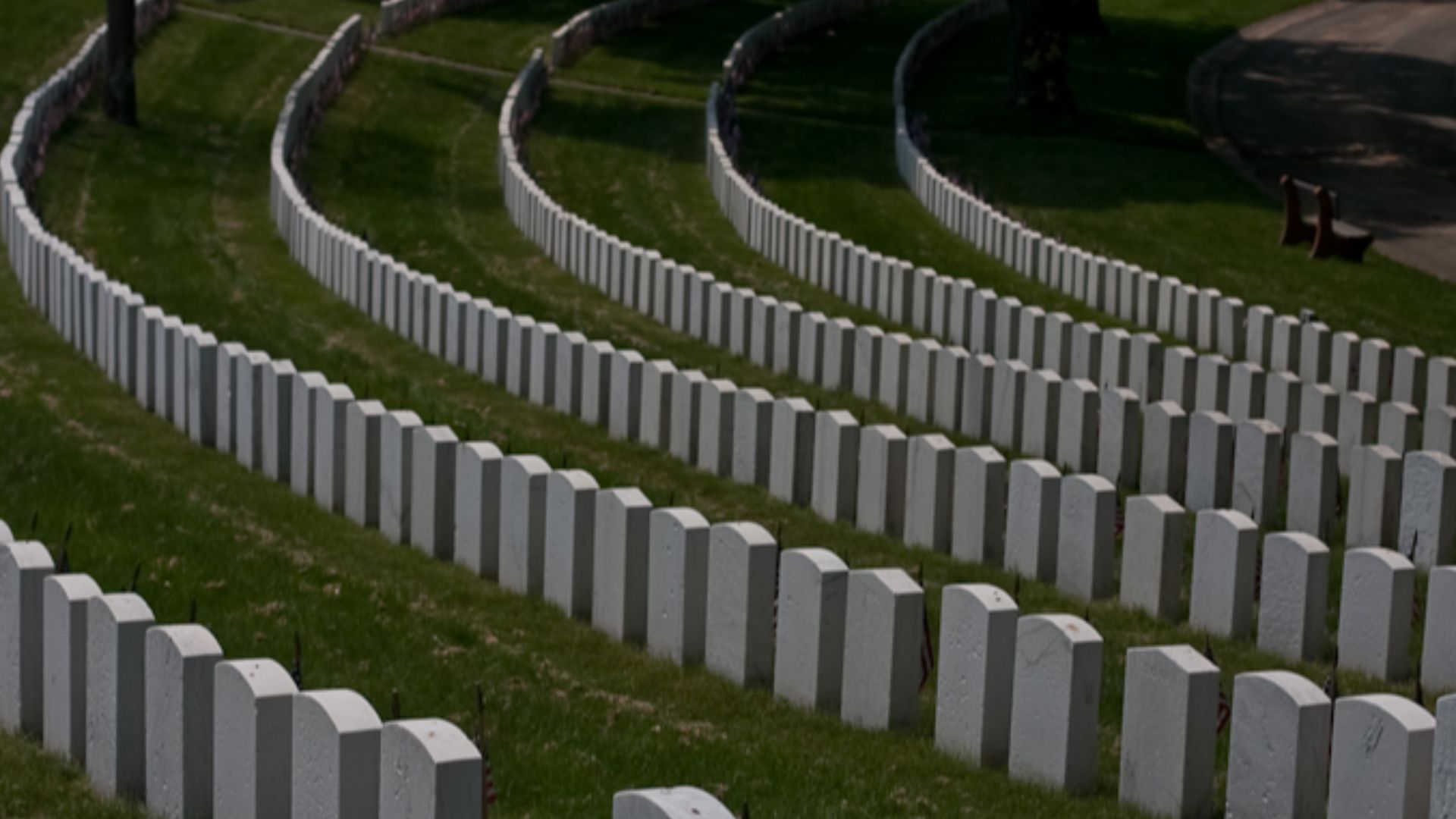 File:Cypress hills 6.jpg