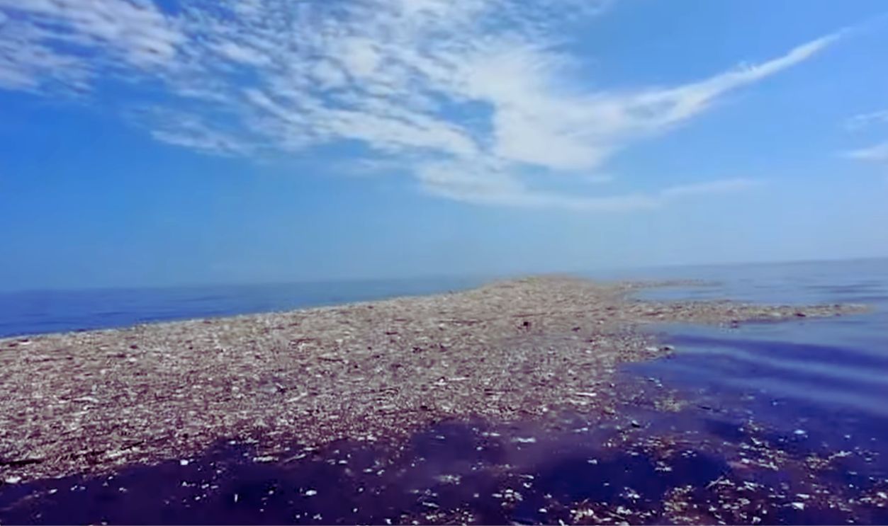 Great Pacific Garbage Patch