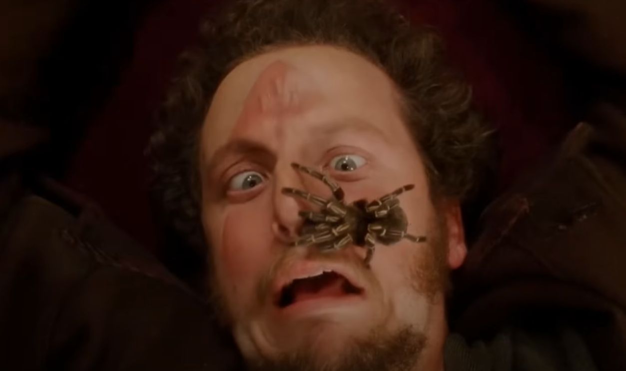  A Creepy Crawly Christmas