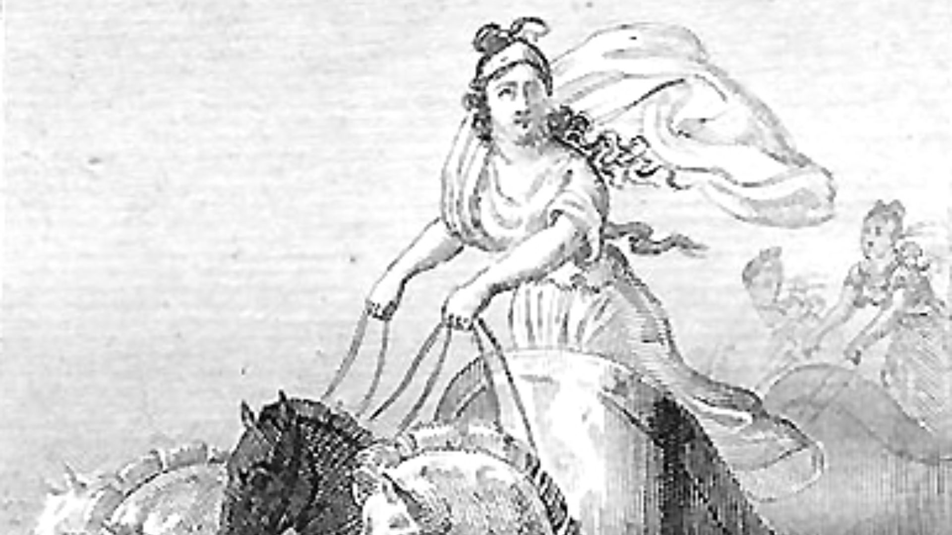 File:Cynisca by Sophie de Renneville.jpg