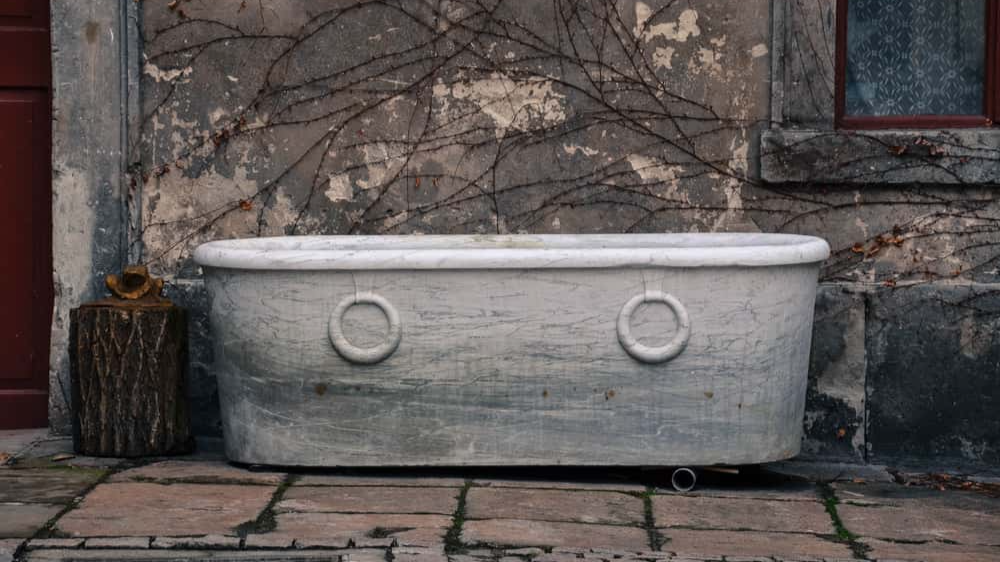 The Black Death Facts