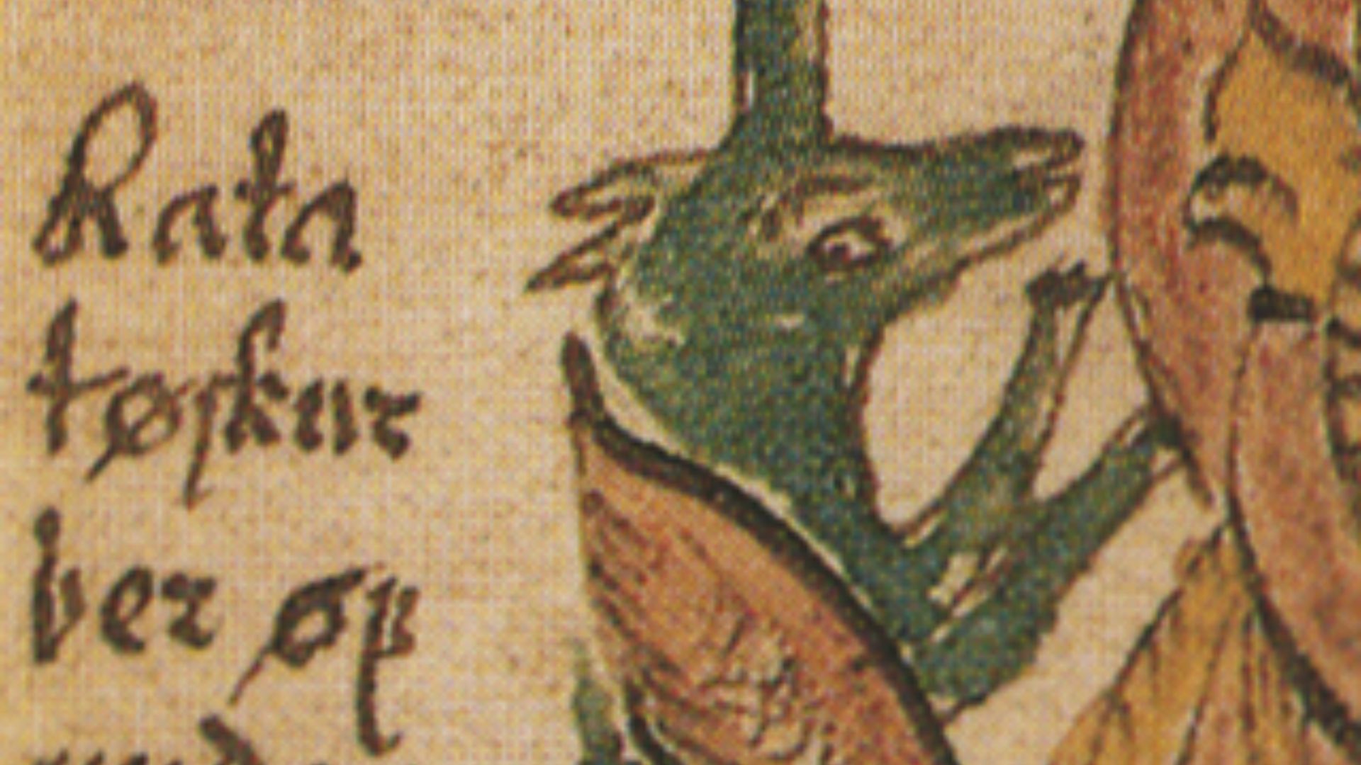 File:AM 738 4to Ratatoskr.png