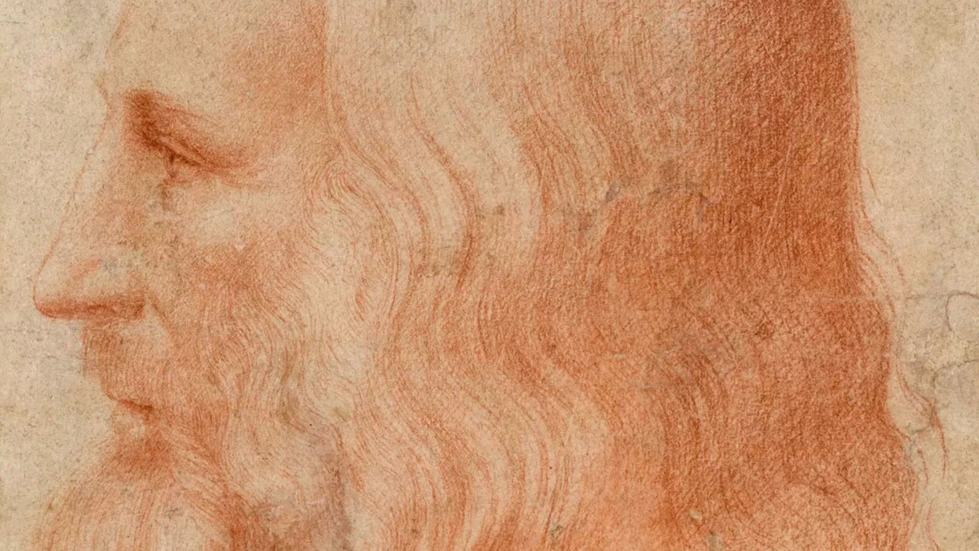 File:Francesco Melzi - Portrait of Leonardo.png