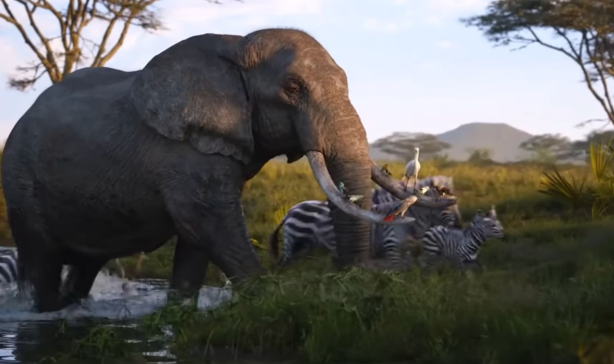 Welcome to the Jungle