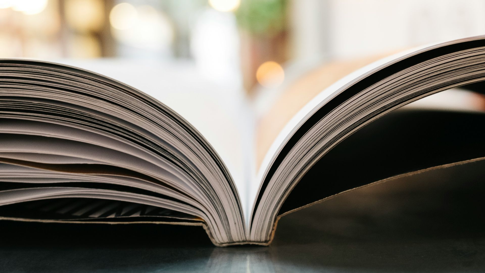 bokeh photography of open book