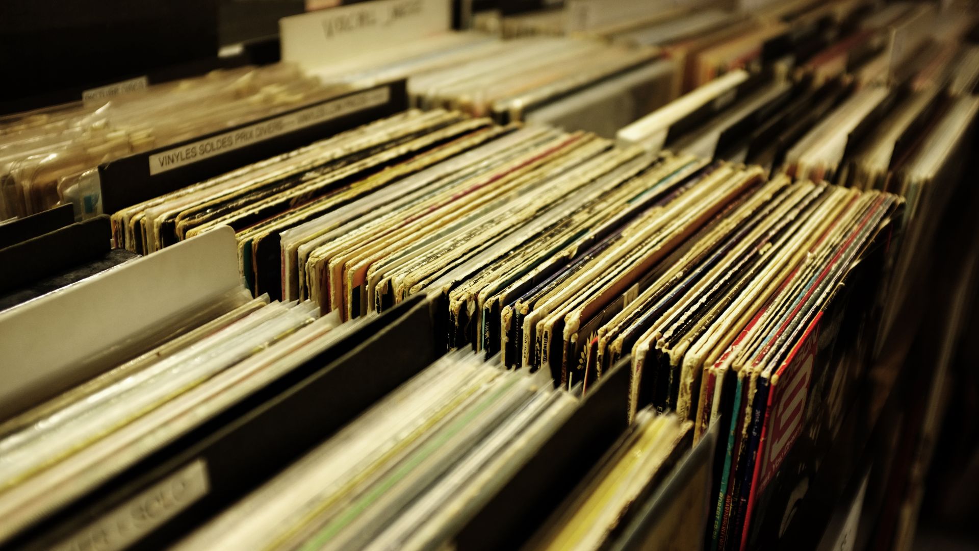 File:Vinyl collection at a record store (Unsplash).jpg