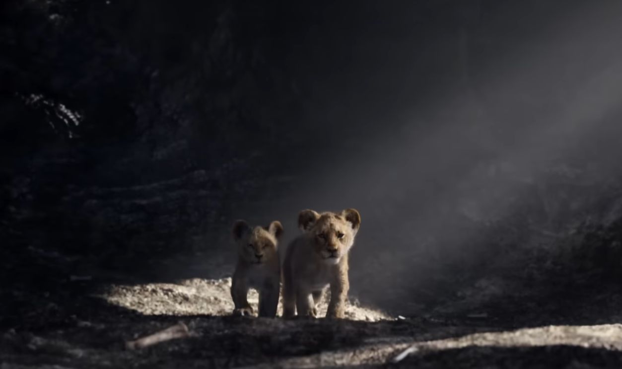 The Elephant in the Graveyard